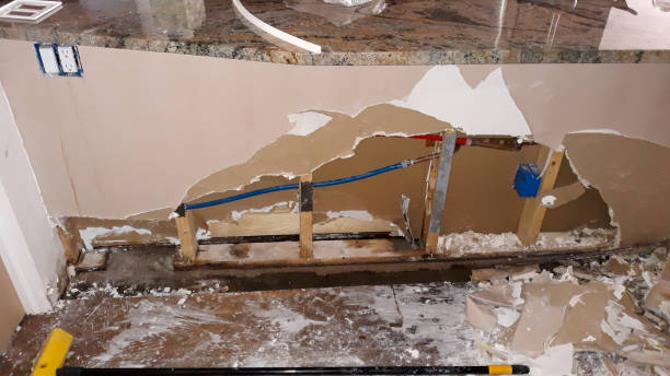 Best Water damage restoration mold remediation  in Winfield, WV
