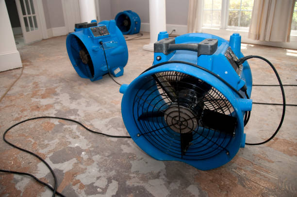 Water damage restoration mold remediation in WV