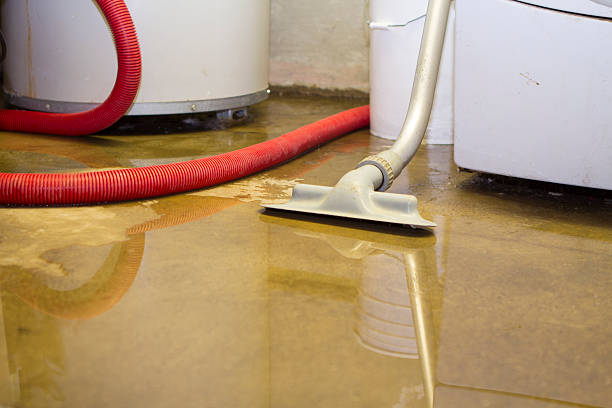 Best Flooded house restoration  in Winfield, WV
